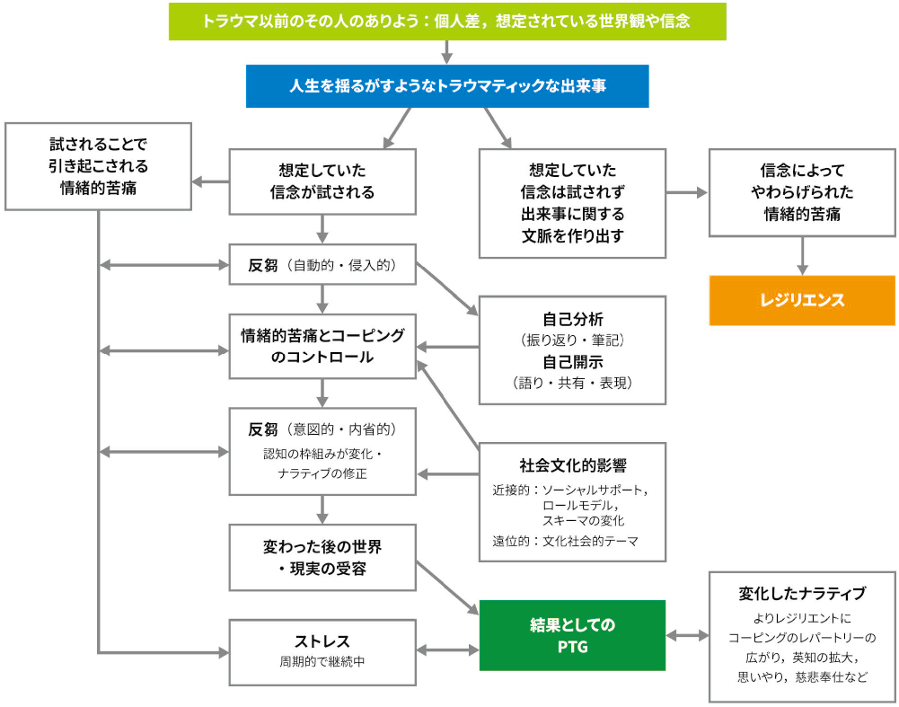 図1 PTG(心的外傷後成長)理論モデル第5版(文献9を基に筆者作成)