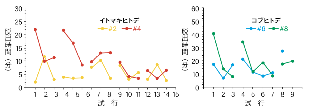 図1 2種類のヒトデの実験結果