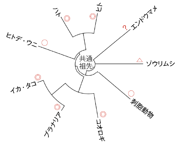 図3 進化系統樹と条件づけの可否