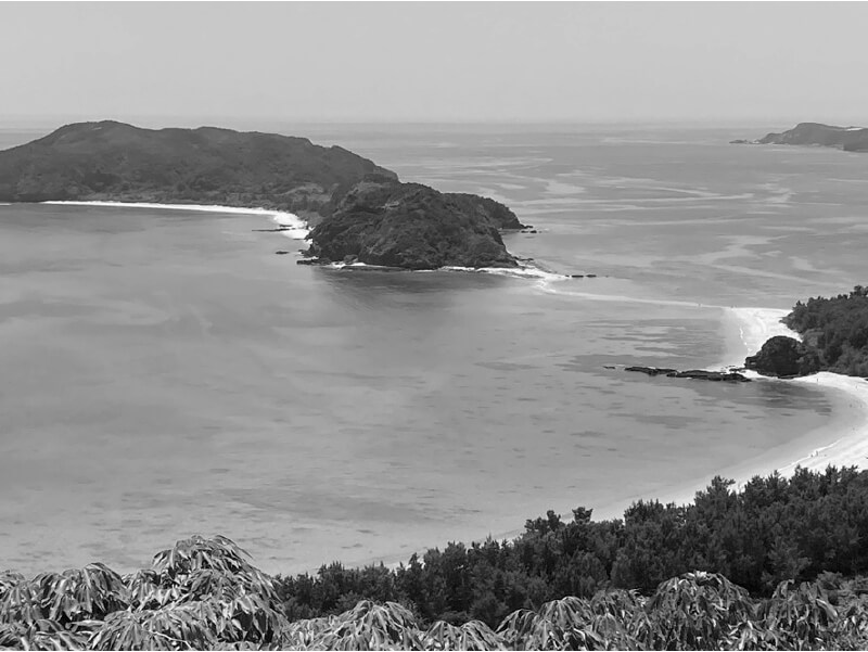 沖縄慶良間諸島の海。山も海も好き，化石も地層も好き。見るもの，聞くもの，触るもの，匂うもの，味わうもの，すべてが俳句。