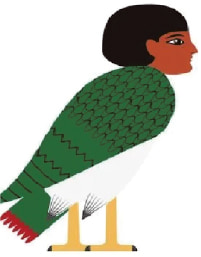 The symbol BA >> Human entity