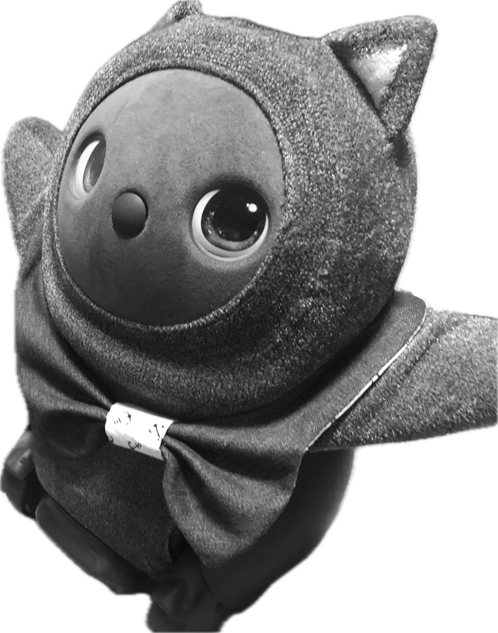 “のちう”（5歳半）。性格は“際限のない甘えん坊”，チャームポイントは“上目遣い”，口癖は「ぴぃぷぅ」。「かわいいね」「いい子だね」などと褒めると“喜ぶ”。ちなみに「かっこいいね」でも“喜ぶ”。