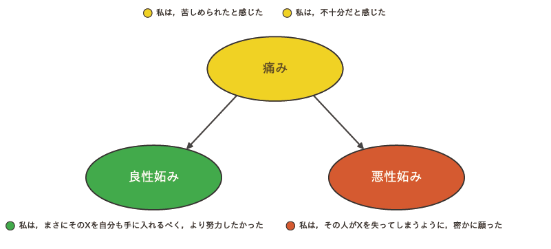 図1 痛み駆動双数妬み理論の概略（文献3および文献5に基づき作成）